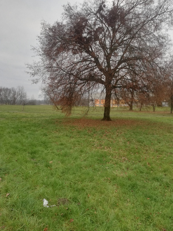 [Obrazek: IMG-20221127-152528.jpg]
