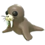 Walrus