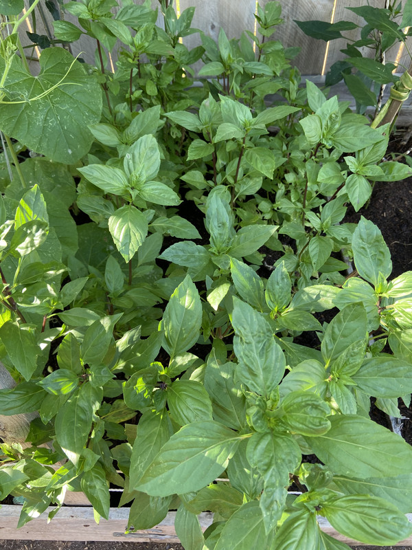 1F20DF44-10F0-45EB-A192-489A0E0DF2AB