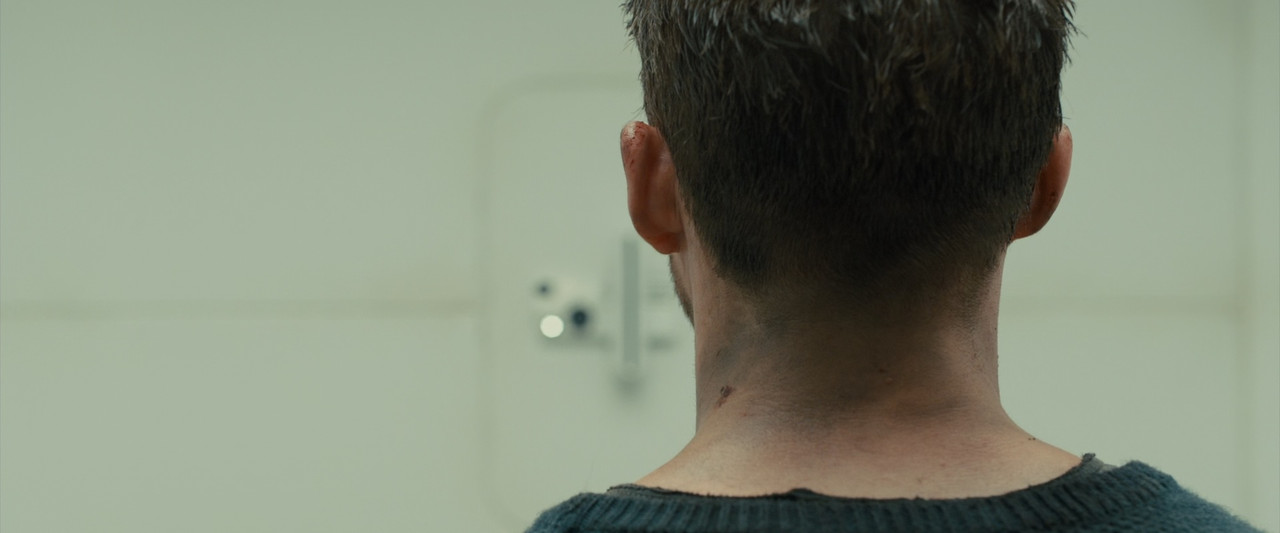 Blade Runner 2049 2017 (1080p x265 10bit Tigole).mkv_snapshot_00