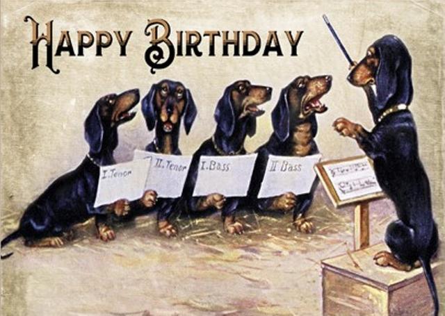 [Image: Anniversaire-teckel-(9).jpg]