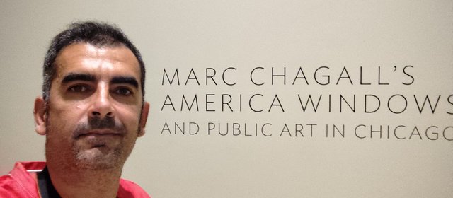 Chicago: Outlet, Art Institute (a lo Ferris Bueller) y crucero Lago Michigan - Boston y Chicago (40)