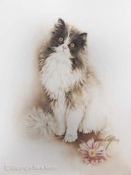 2-cat-flower-600pxc2