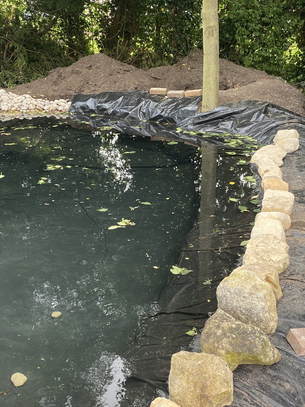 57FB70D7-61AD-4317-9B73-5F1CA9D34AE3