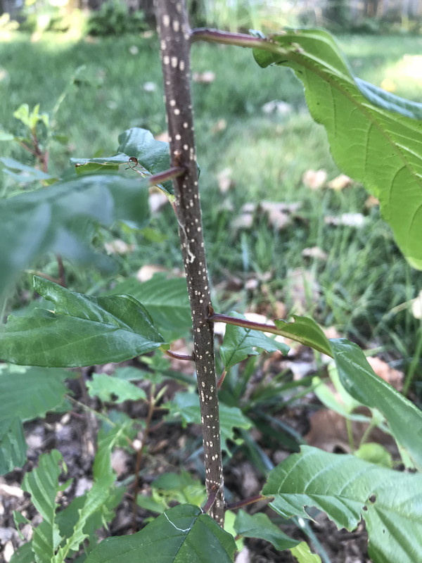 5F7CAE59-2F38-4CD8-8669-7361A9BEA393