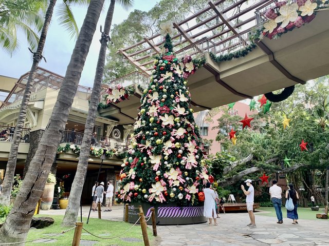 [Image: 1-EC70-D73-4-D7-F-499-F-A3-E0-1-B9813470-E3-F.jpg]