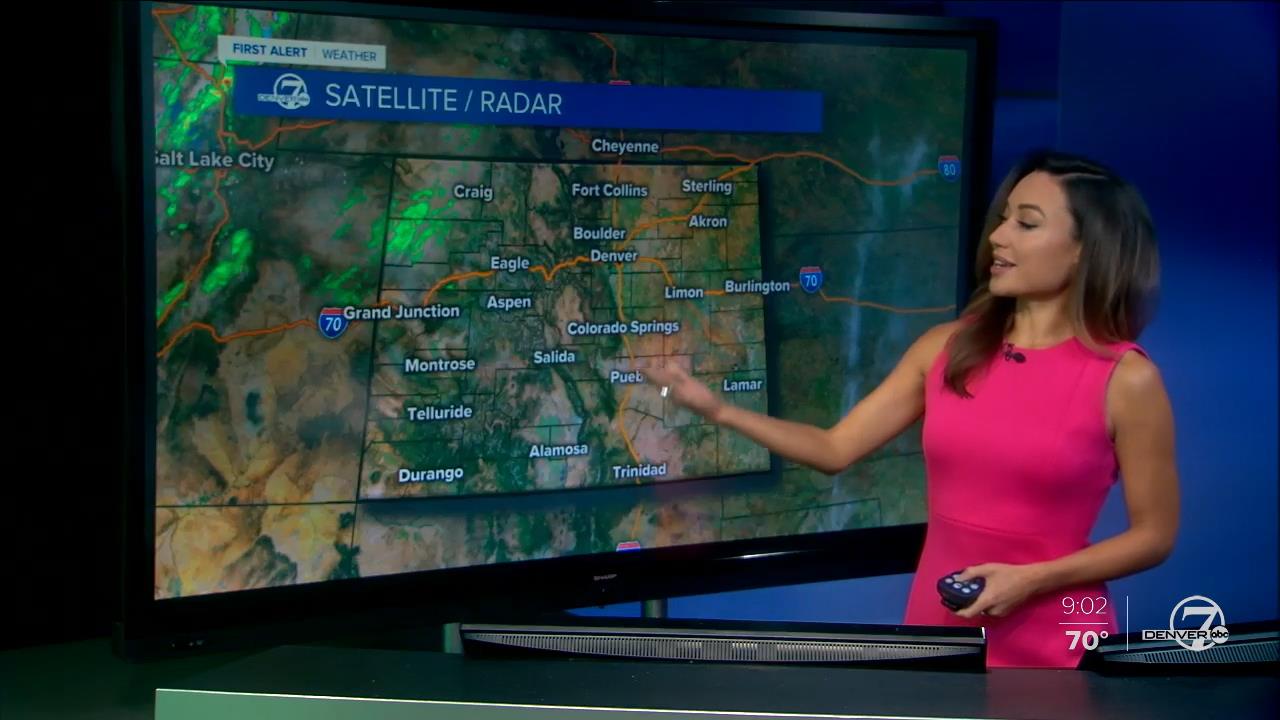 07 June - 16.00.00 - 7 News Now Sunday at 9 AM..ts_snapshot_00.03.39_[2020.06.07_17.52.14]