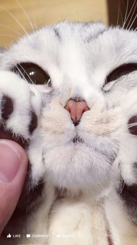 AFDB2C47-837E-4A8E-8FB0-B610105D18E7