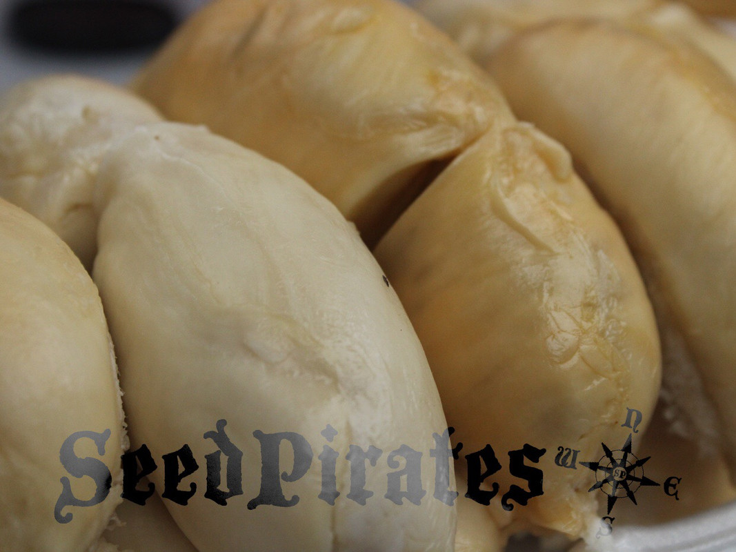 7CC6165E-217A-4173-83DA-48EA37CE6856