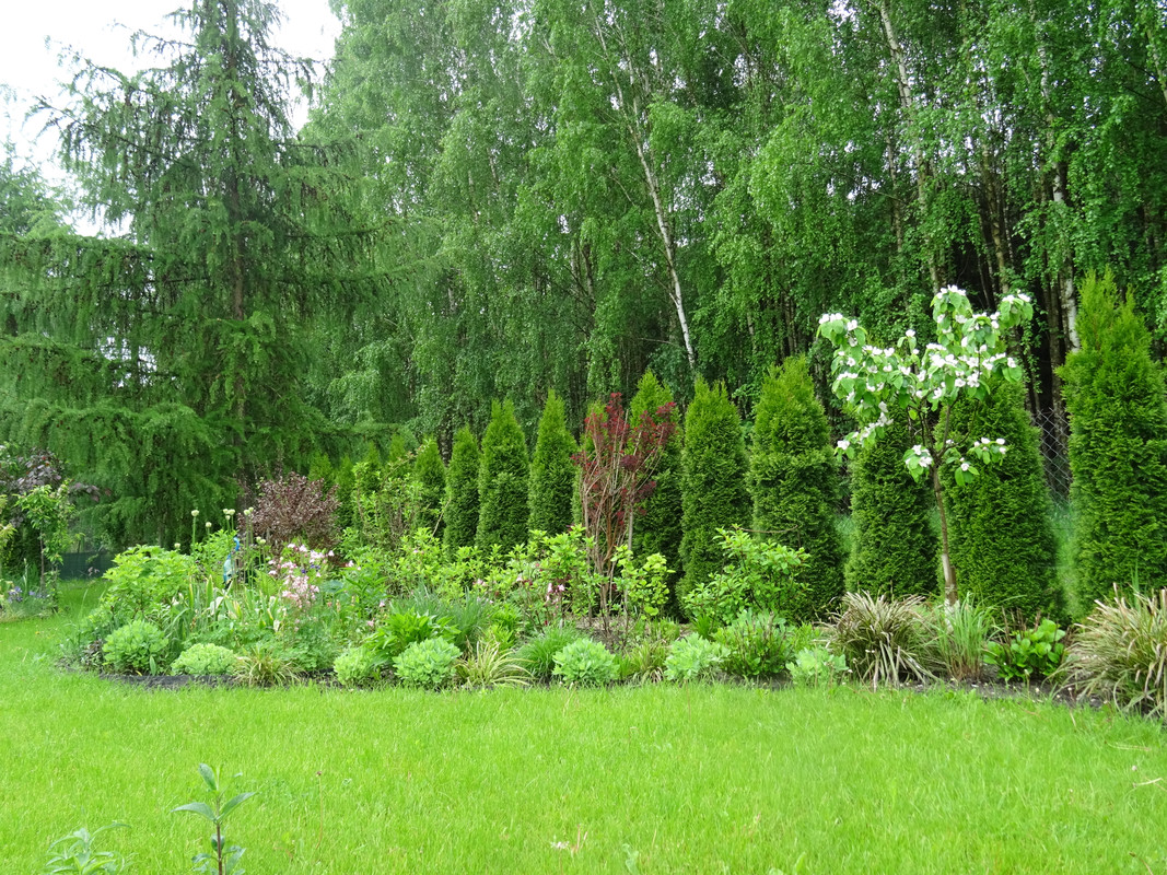 DSC03094 (0)