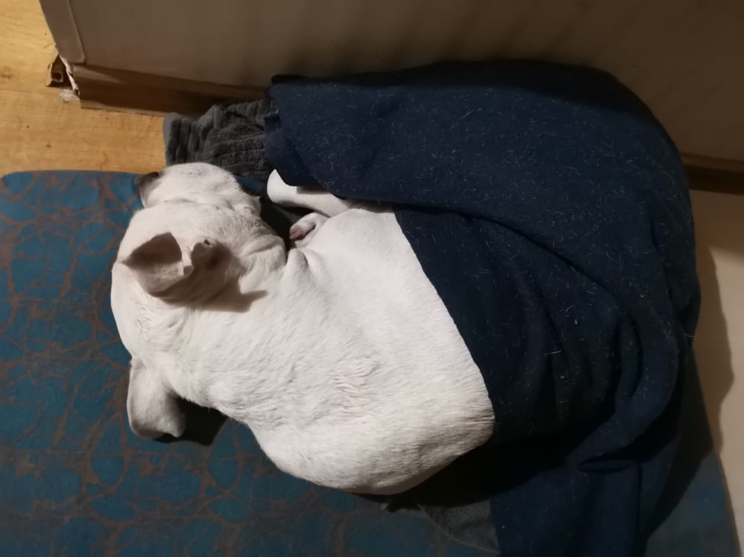 9B9283C9-2CAE-419B-9762-5182F5837C68