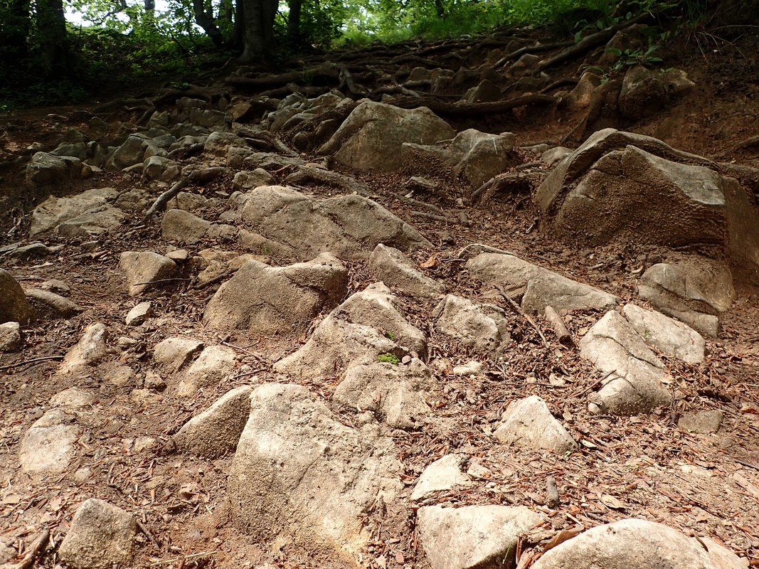 2019_0609G_STRAŻOWSKIE0103