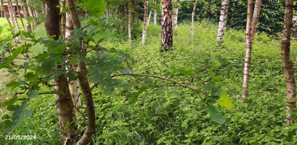 de-natuur-vrij-laten
