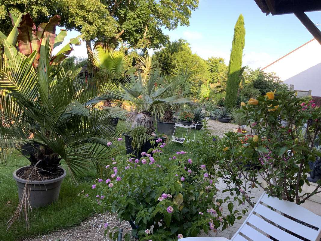 8F23D051-D2F7-4C1A-8C79-030AA0D478C6