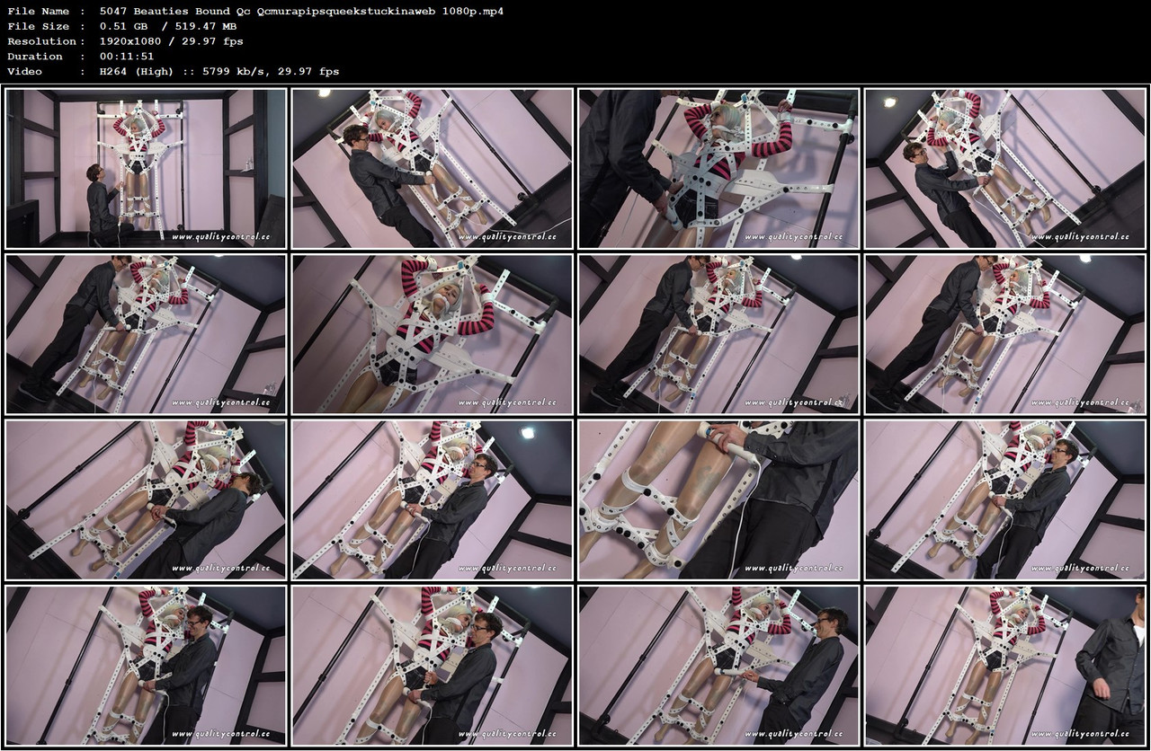 5047 Beauties Bound Qc Qcmurapipsqueekstuckinaweb 1080p mp4