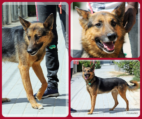 BeFunky-collage (29)