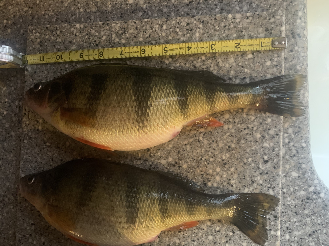 46126F7D-9911-4EAB-BB4A-0C7C16D58C21