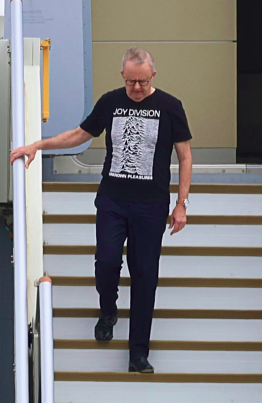 Albo-Back-from-Trump-Joy-Division.png