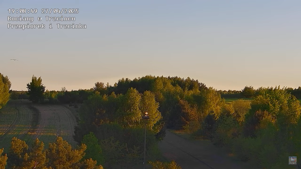 27042025bociany20
