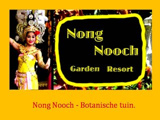 Nong-Nooch-Botanische-tuin