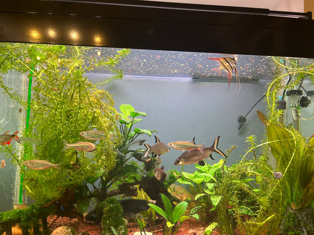 WhatsApp Image 2023-02-12 at 18.11.55 (1)