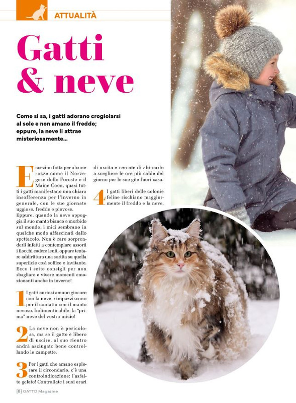 Ga Ma Dic 2023-Gen 2024 (1)