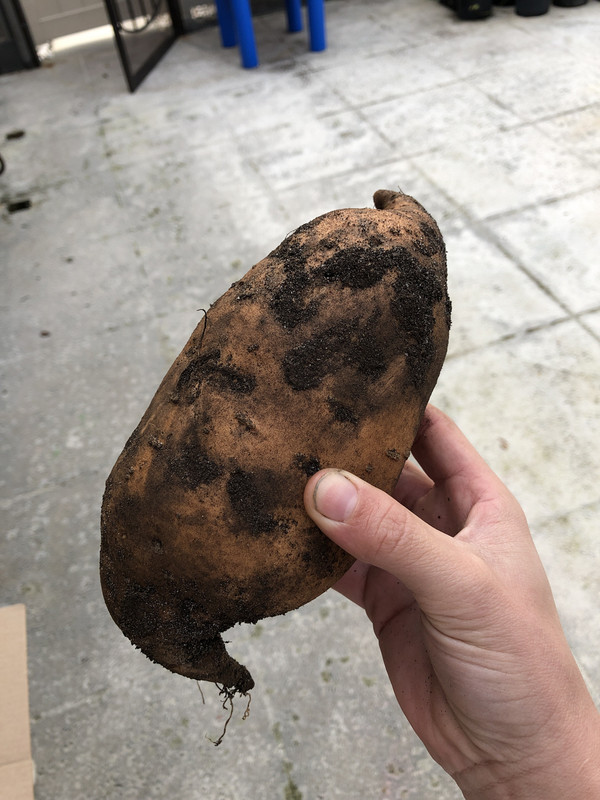 DACCA878-D3C1-4F6D-8B5E-0128D62FE26D