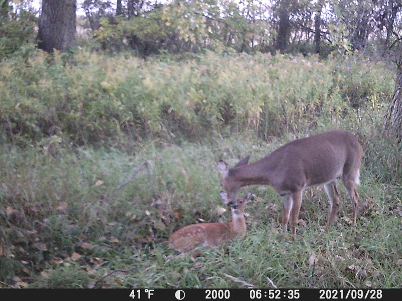 8E2E2511-BC68-4C04-8A9D-1E5EB5BABC1C