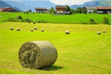 Austria-field-hay-house-landscape-wallpa