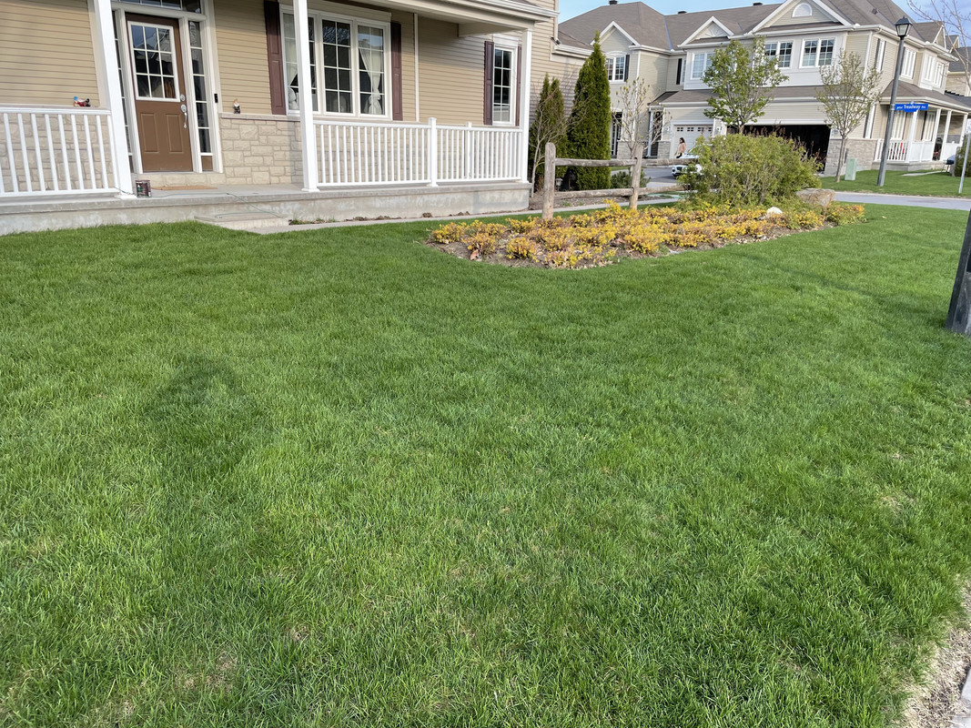 CB62D3EE-7A05-456B-9EF2-9FC596890071