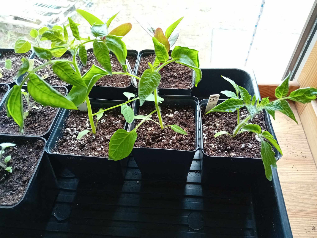 att.e1cKrq9b95Y44jPhdsgLekcfcj_53Eval-_cQqFgRIk