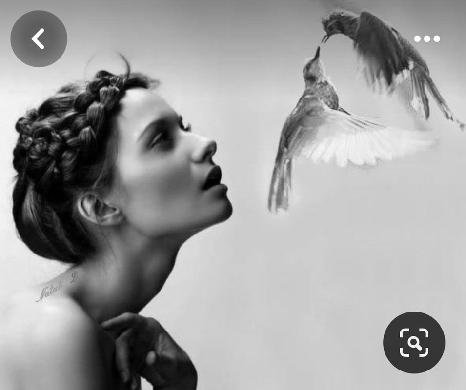 Screenshot_20240329_232513_Pinterest