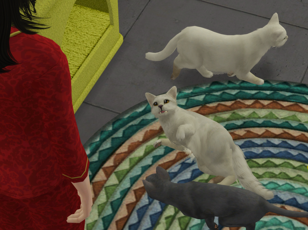 Sims2-EP9-RPC-2023-06-09-20-42-47-27