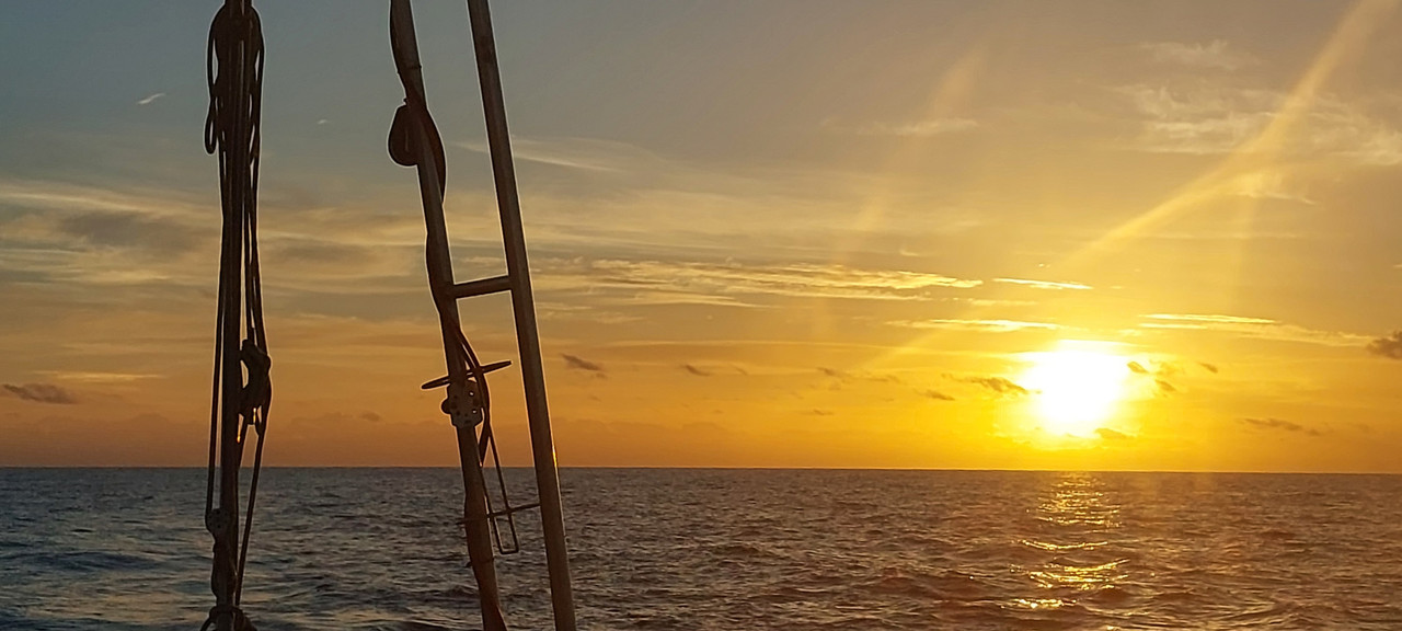 [Imagen: 20251030-072829.jpg]