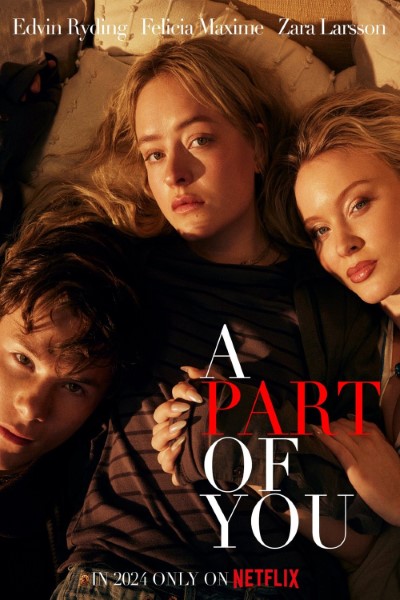 A Part of You (2024) Multi Audio {Hindi-English-Swedish} Movie WEB-DL – 480p [360MB] || 720p [1GB] || 1080p [2.3GB]
