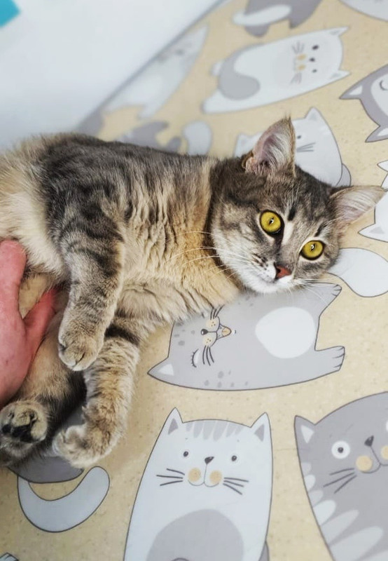 3dGpZgv0lYA — копия