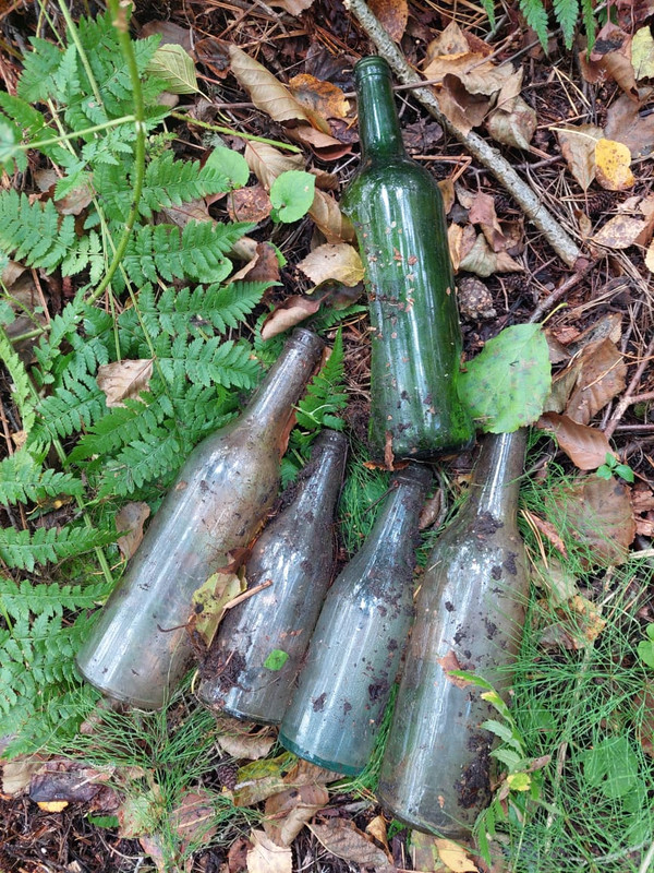 Изображение WhatsApp 2024-09-06 в 14.02.05_c78d5d7c