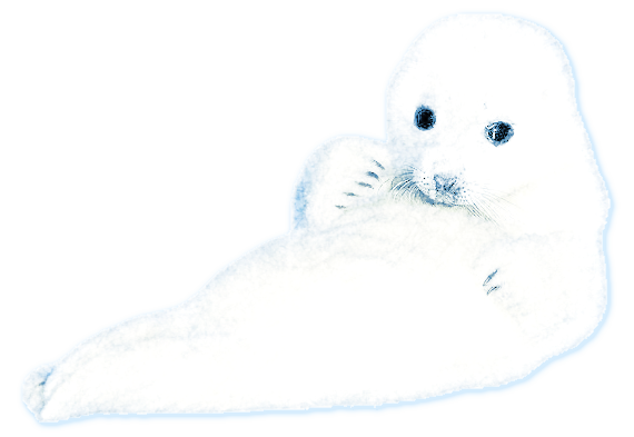Seal