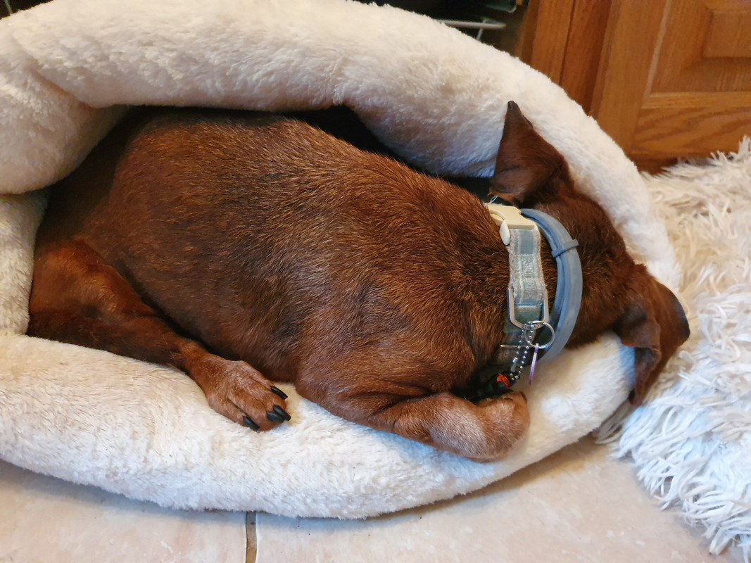 [Image: 20220514-205538.jpg]