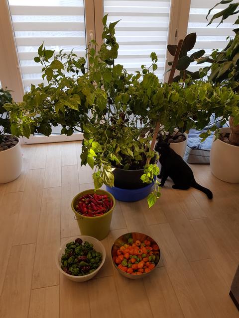 20191005-174511.jpg