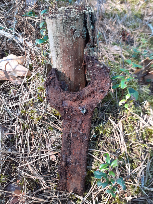 20210513_105030 – kopio