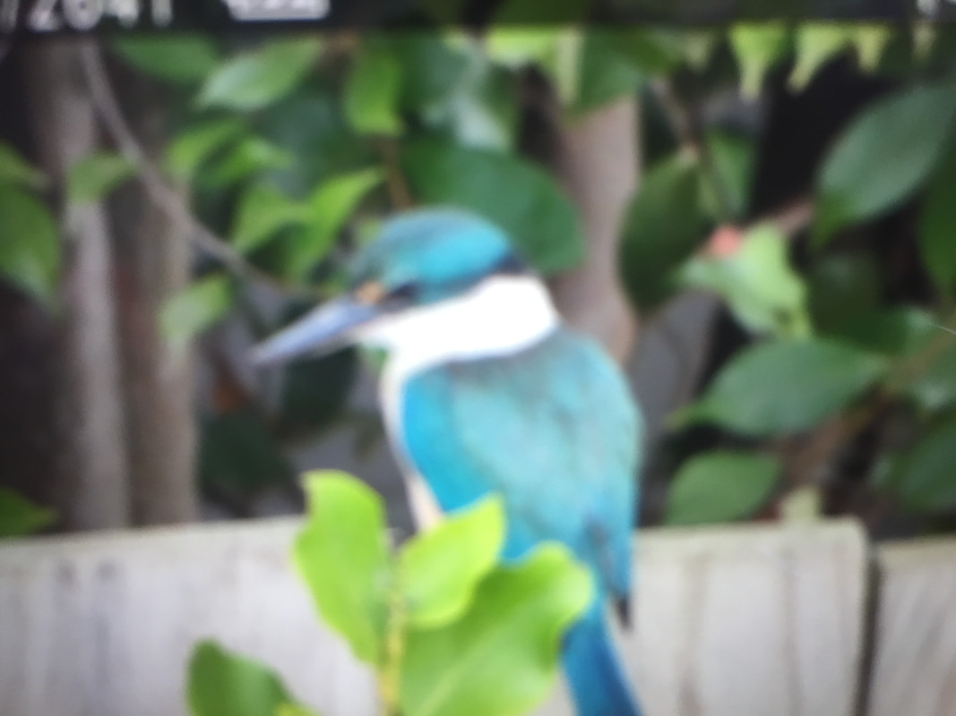 5616EFA0-68C7-4E32-98D7-AAFCFFD4A9FA