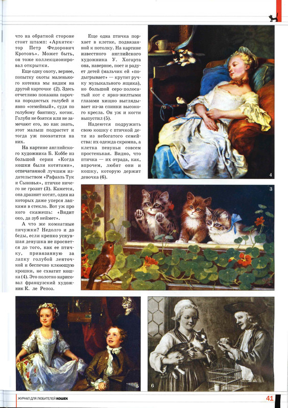 Друг кошек 2007-05-40