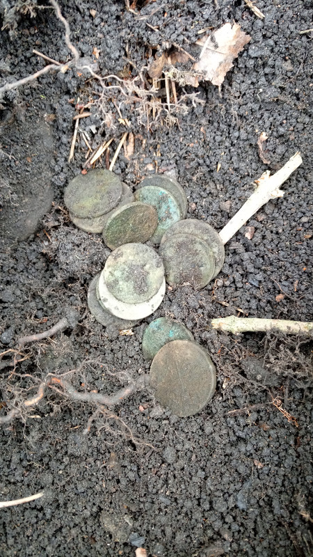 IMG_20210508_124100_9