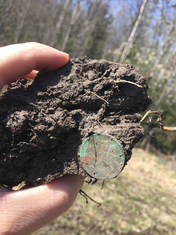 E19141FB-7A8C-4EF8-A436-7F8B98901BF4