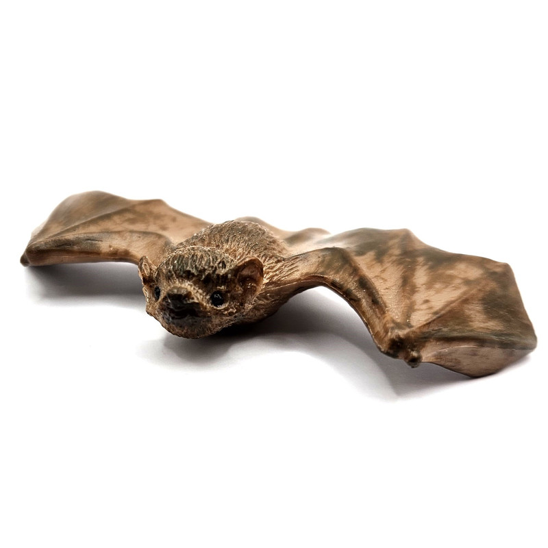 Bluestem Zoo - Brown long-eared bat (Papo)
