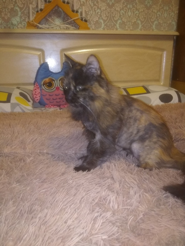 62292862-805A-4B39-86B9-41CA6197D23F