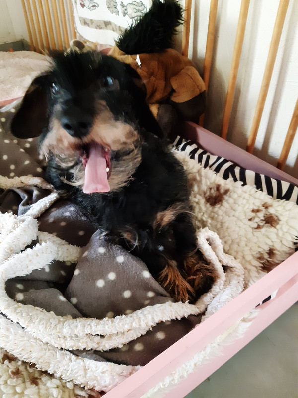 [Image: 20230414-105007.jpg]