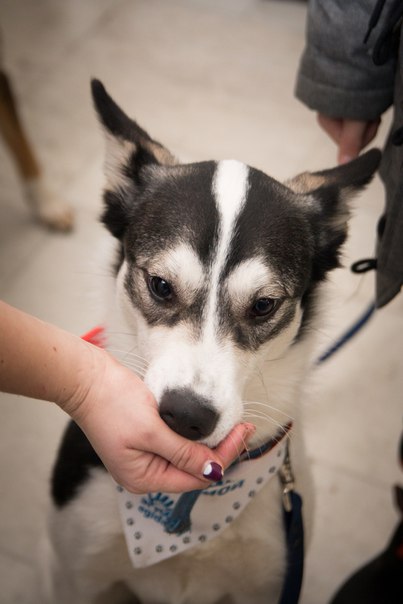 6A2E4E57-C042-459C-BFC4-BF930F7CEB0B