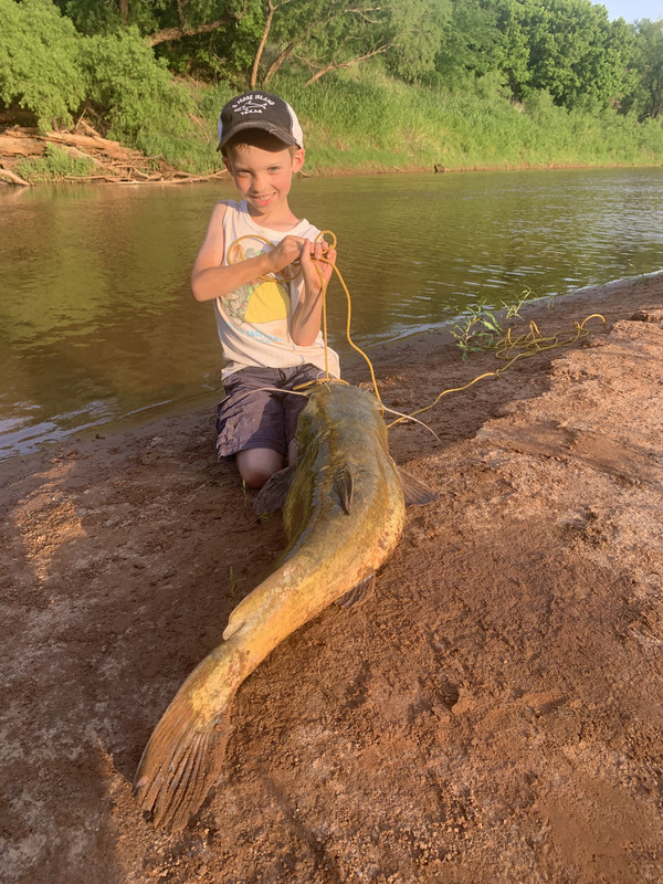 929566F6-4B85-45FA-856D-E974C2B0D420